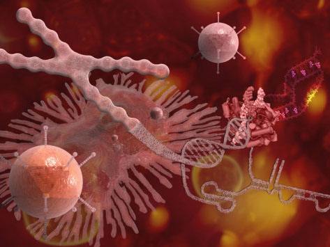 1567735023175666.jpg timgLWGO3ZO1.jpg